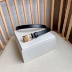 Loewe cowhide Belt anagram padlock pin width :2.0cm - Image 7