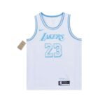 Nike NBA Lakers City Limited Edition 2021-2022 Season lebron James jersey