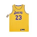 LeBron James Los Angeles Lakers 23 NBA Connected Jersey