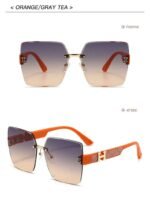 Hermes Sunglasses - Image 7