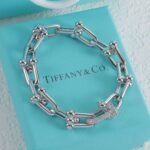Tiffany & Co. High-Quality Horseshoe Bracelet - Image 5