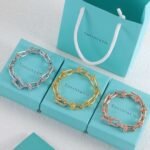 Tiffany & Co. High-Quality Horseshoe Bracelet - Image 3
