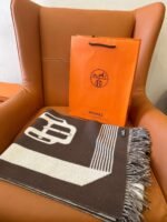 Hermes high quality scarf - Image 6