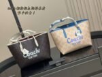Coach bag - Image 2