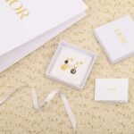 Dior high-quality earrings - Image 7