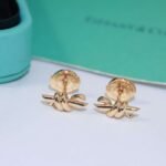 Tiffany & Co.Ear studs - Image 7