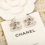Chanel, Van Cleef & Arpels, YSL original earrings - Image 12