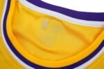 LeBron James Los Angeles Lakers 23 NBA Connected Jersey - Image 3