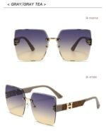 Hermes Sunglasses - Image 5