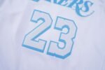 Nike NBA Lakers City Limited Edition 2021-2022 Season lebron James jersey - Image 3