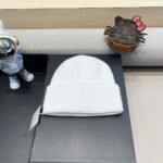 Dior embroidered wool knitted hat - Image 6