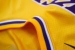 LeBron James Los Angeles Lakers 23 NBA Connected Jersey - Image 6