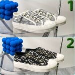 DIOR embroidered canvas flat casual shoes