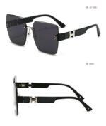 Hermes Sunglasses - Image 6