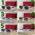 Cartier Sunglasses Premium Edition