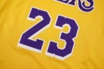 LeBron James Los Angeles Lakers 23 NBA Connected Jersey - Image 4