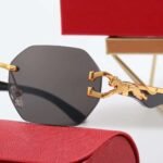 Cartier Glasses - Image 9