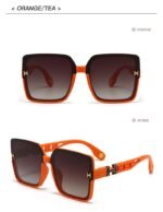 Hermes Sunglasses - Image 8