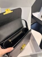 Celine bags - Image 11