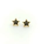 DIOR Latest black five-pointed star cd earrings premium version