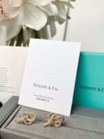 Tiffany Woven series key earrings Premium 1:1 - Image 7