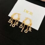 DIOR letter earrings