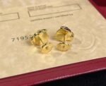 Cartier cheetah earrings - Image 8