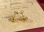 Cartier cheetah earrings - Image 5