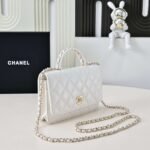 Chanel 2025 New Handbag Cosmetic Bag Premium Edition 19cm - Image 2