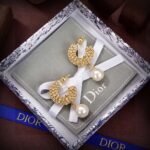 DIOR’s new artistic hollow earrings