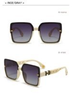 Hermes Sunglasses - Image 5