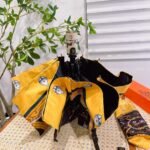 Hermès Umbrella - Image 4