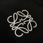 Loewe 2024 New Embroidered Mink Fleece Hooded Sweater Jacket Premium Edition - Image 9