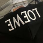 Loewe 2024 New Embroidered Mink Fleece Hooded Sweater Jacket Premium Edition - Image 6