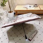 DIOR umbrella - Image 10