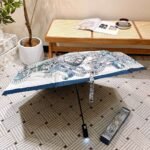 DIOR umbrella - Image 7