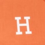 Hermès brocade fox fur blanket high-quality blanket - Image 2