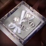 Dior CD Earrings - Image 5