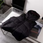 Burberry detachable hood long sleeve winter down jacket for men and women - Image 15