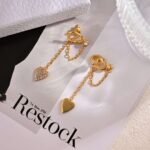 DIOR new earrings Premium