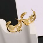 Celine new Triumph earrings - Image 4