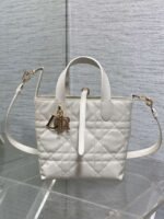 DIOR Toujours vertical series small soft cowhide material high-end version size: 16x12x18cm