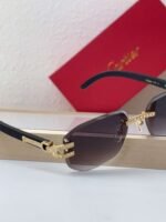 Cartier Sunglasses Premium Edition - Image 11