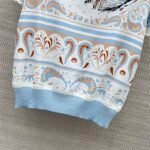 Hermès 2025 Summer New T-shirt Tiger Pattern Premium Edition - Image 8