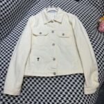 DIOR 2025 Spring/Summer new lapel heart butterfly embroidered denim jacket - Image 2