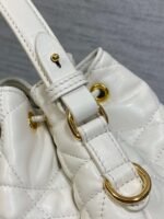 DIOR Caro Bucket Bag Series 1:1 Premium Edition 20x9x24cm - Image 5