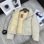 Loro Piana new lapel wool down jacket is lined with 90% white goose down, high-end quality - Image 7