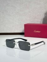 Cartier Sunglasses (Premium Edition) 57-19-145 - Image 10