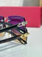Cartier Sunglasses (Premium Edition) 57-19-145 - Image 9