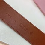 miumiu belt advanced version - Image 3